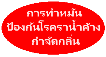 การฆ่าเชื้อด้วยรังสีอัลตราไวโอเลตและการกำจัดกลิ่นโอโซนที่ทรงพลัง OZ-10.OZ-20