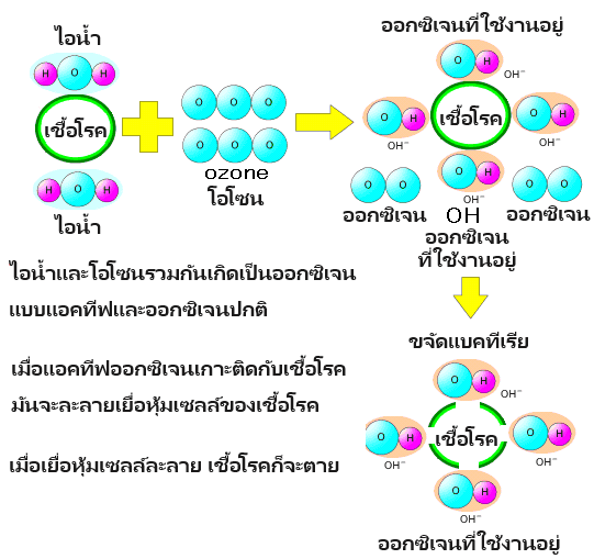 การฆ่าเชื้อด้วยรังสีอัลตราไวโอเลตและการกำจัดกลิ่นโอโซนที่ทรงพลัง OZ-10.OZ-20