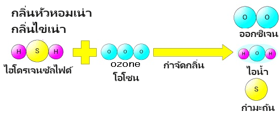 การฆ่าเชื้อด้วยรังสีอัลตราไวโอเลตและการกำจัดกลิ่นโอโซนที่ทรงพลัง OZ-10.OZ-20