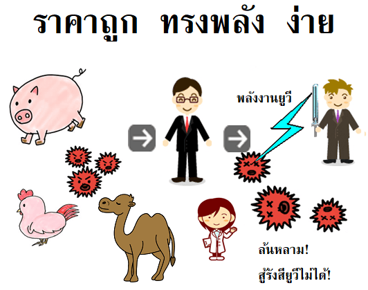 หลอดอัลตราไวโอเลต - การฉายรังสีอัลตราไวโอเลตและการสร้างโอโซน